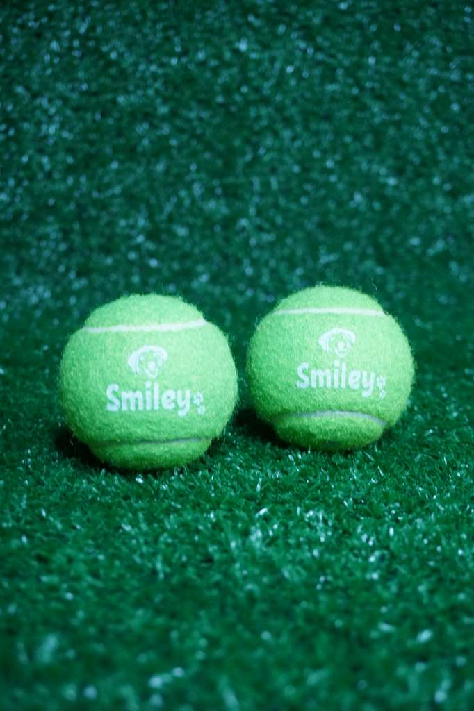 PawPlay Tennis Squeaker