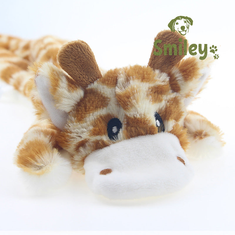 WildPaws Variety Pack