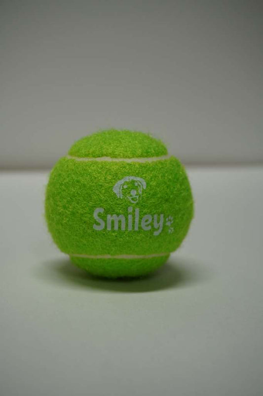 PawPlay Tennis Squeaker