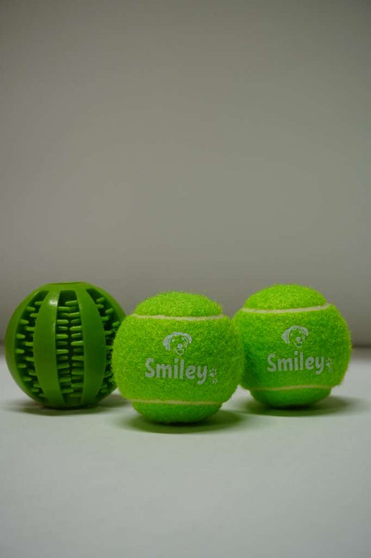 FreshBite Green Chew