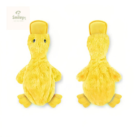 Smiley Squeaky Duck