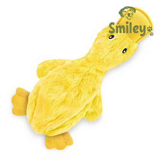 Smiley Squeaky Duck