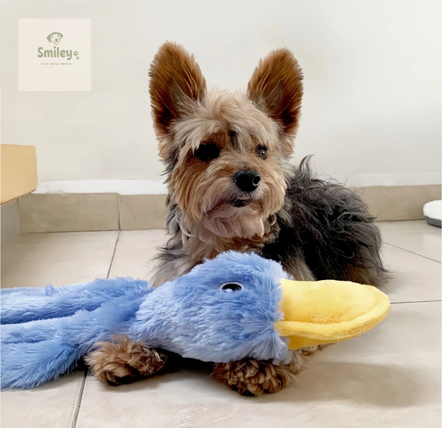Smiley Squeaky Duck